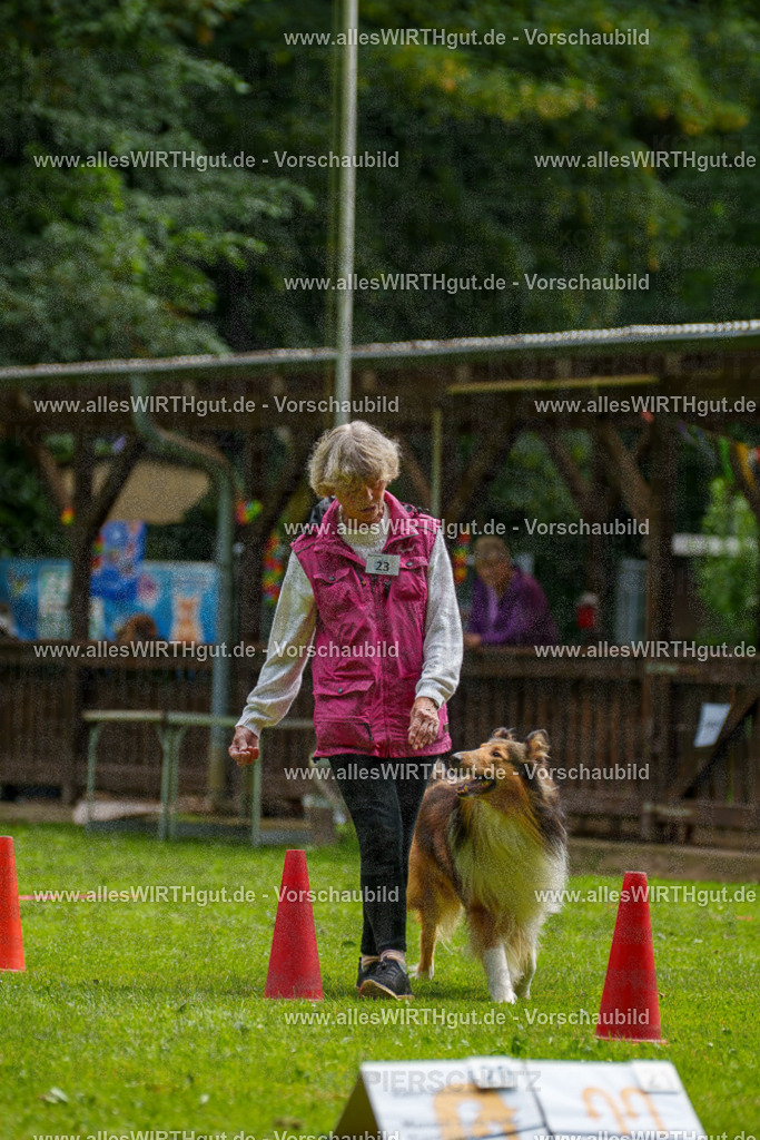 @allesWIRTHgut_Tierfotografie - www.allesWIRTHgut.de - 095131-7R507741 | Professionelle Tierfotografie in Mönchengladbach von Daniel Wirth (allesWIRTHgut). Liebevolle & natürliche Bilder von Hunden & Katzen für unvergessliche Erinnerungen.