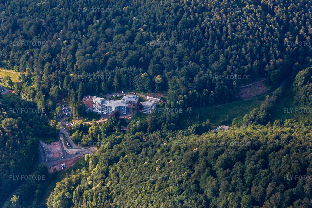 Luftbild: Celenus Parkklinik in Bad Bergzabern im Bundesland Rheinland-Pfalz in Deutschland. Foto: IMG_120967.jpg vom 26.06.2020 durch Werner Riehm/FLY-FOTO.de