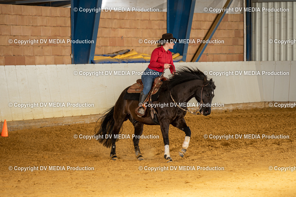 MIT01125 | dv-media-shop - Realisiert mit Pictrs.com