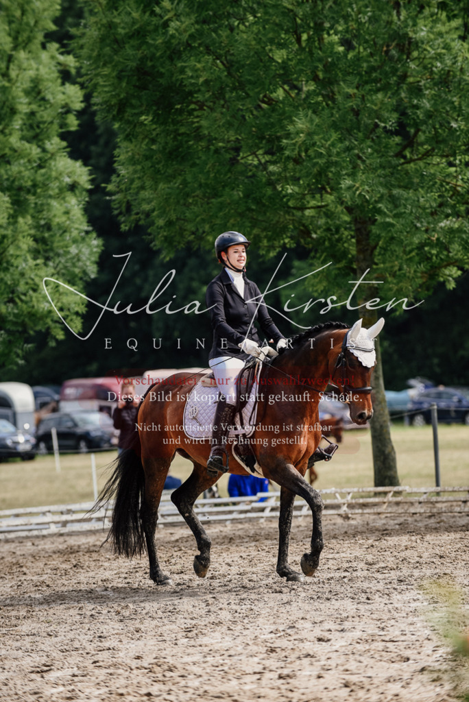 DSC_9872 | Pferde- und Turnierfotografie in Westsachsen. Pferdeportraits, Auftragszeichnungen und intuitive Kunst.