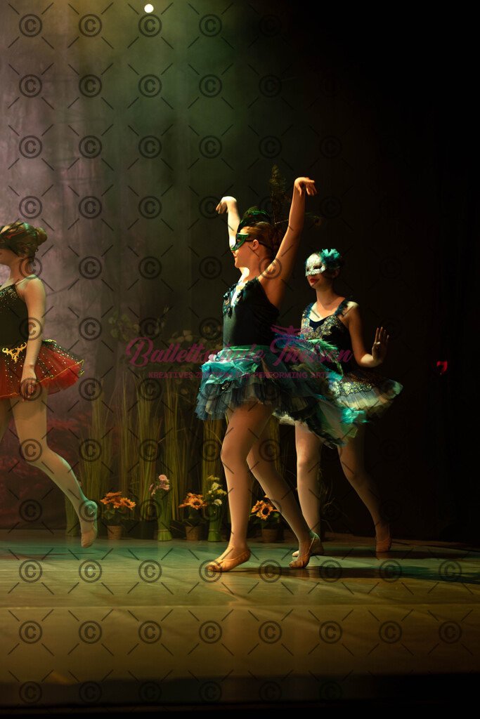 Ballettaufführung-1192 | Bildershop Lem'n Entertainment - Realisiert mit Pictrs.com