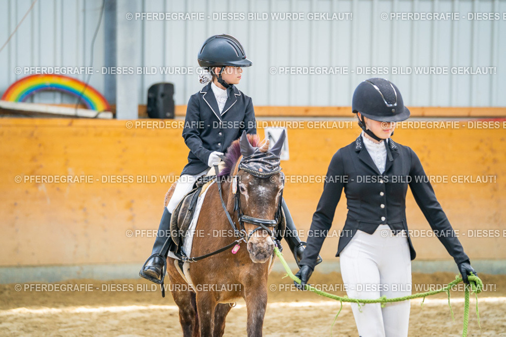 DSC00660 | Pferdegrafie