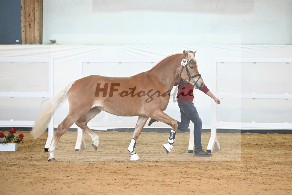 Kat-Nr. 18 v. Akitano_Mueller_2230295 | hf-fotografie - Realisiert mit Pictrs.com