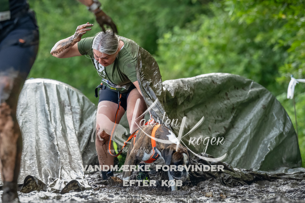 1149_ZZ94362-Bearbeitet | kk-dogfotos