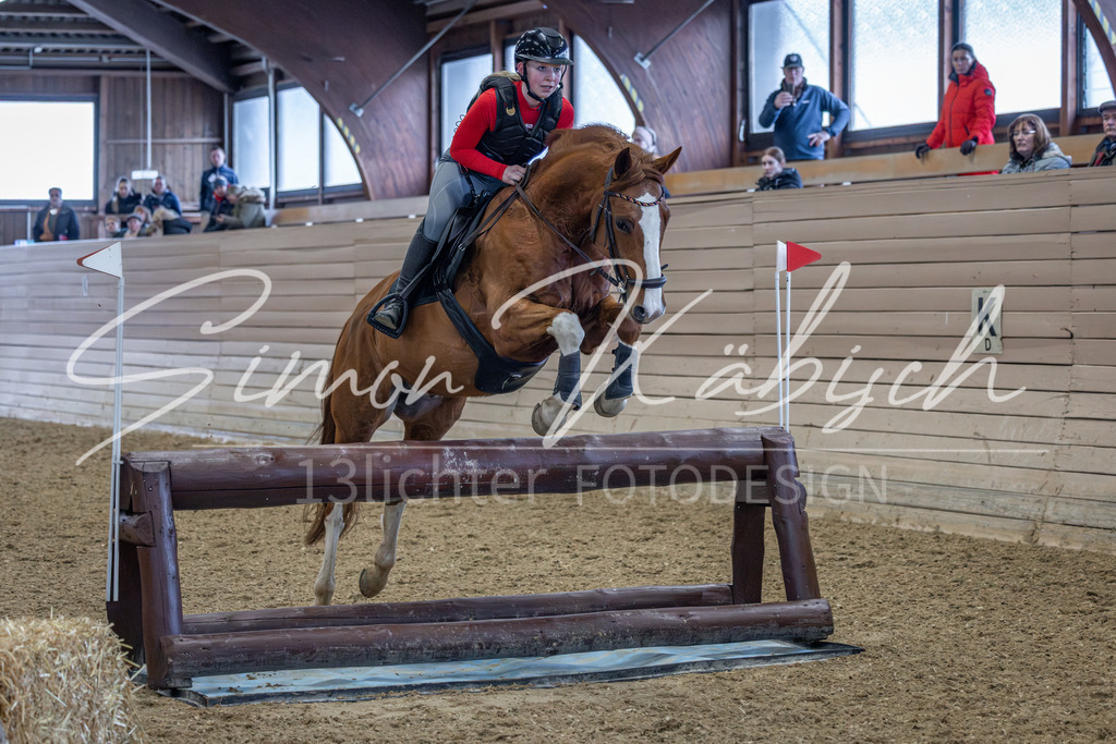 20260221-_3LI9176 | Tierfotografie Pferde, Hunde, Katzen, Haustiere.
Turnierfotografie Reitturniere, Reiten, Springreiten, Dressur in Hanau, dem Main-Kinzig-Kreis und dem Rhein-Main- Gebiet um Frankfurt