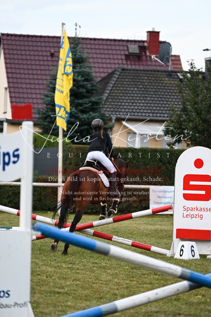 DSC_5448 | Pferde- und Turnierfotografie in Westsachsen. Pferdeportraits, Auftragszeichnungen und intuitive Kunst.