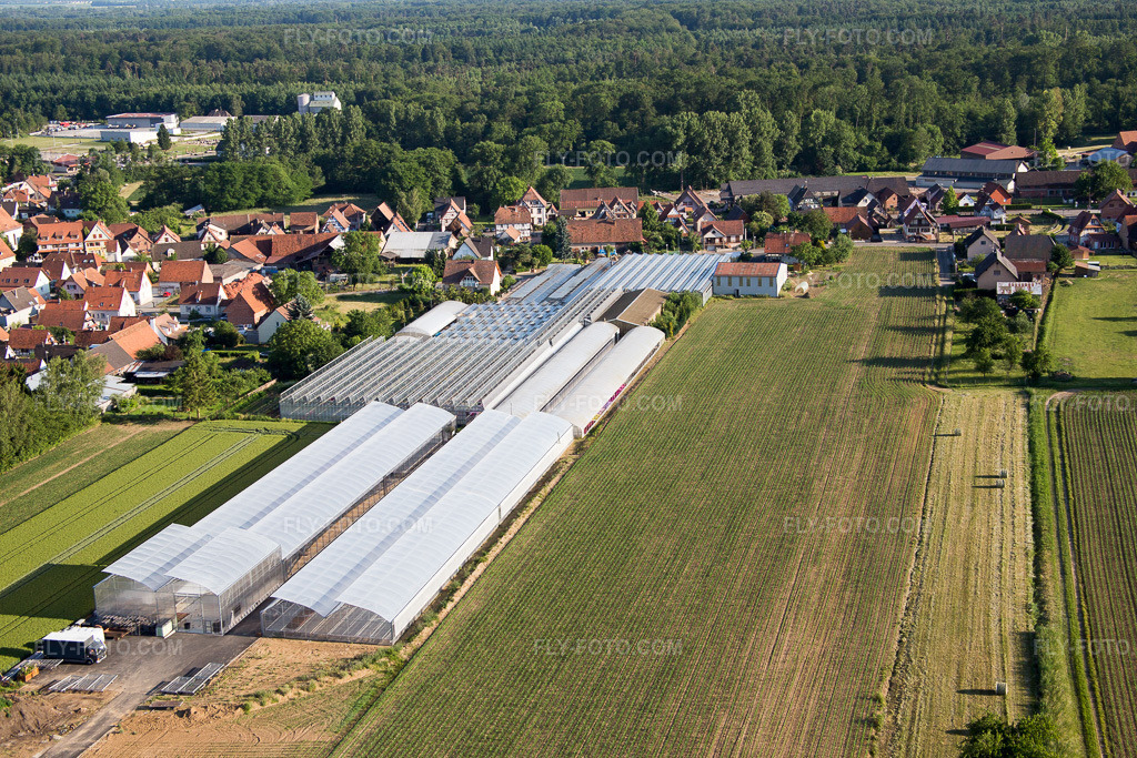Aerial view: View of the town in Niederrœdern in the state Bas-Rhin, France.Photo: IMG_080195.jpg taken on 06/05/2015 by Werner Riehm/FLY-FOTO.comResolution of the original: 5472 x 3648 px
