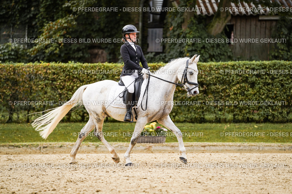 DSC07751 | Pferdegrafie