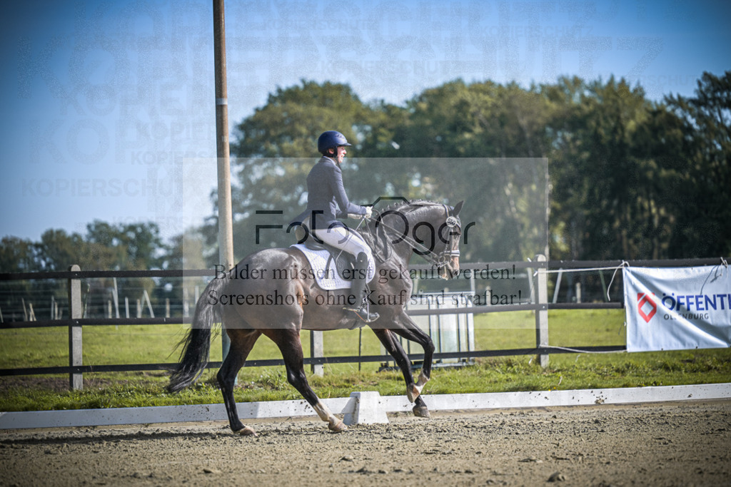 DOS_0569 | Entdecke hochwertige Reitturnierfotos von Foto Oger. Professionell, emotional und authentisch – jetzt Lieblingsmomente im Shop bestellen.Deutschlandweite Turnierfotografie. - Realisiert mit Pictrs.com