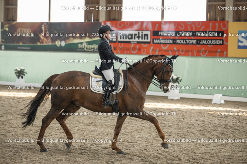 _D5A3144 | Emotionale Pferde- & People-Fotografie rund um Heidelberg, Leimen & Umgebung. Natürliche Fotos von Pferd, Mensch & Familie. Jetzt Termin sichern!