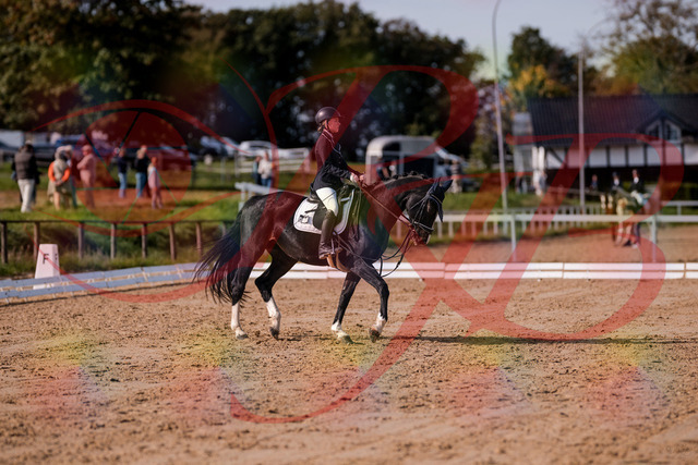 2026_10_03_Siefer-Hof_121534_Z81_17133854 | Professionelle Reitsport-, Turnier- und Eventfotografie von Robert Broda. Galerien mit ausgewählten und bearbeiteten Bildern direkt online ansehen und bestellen.