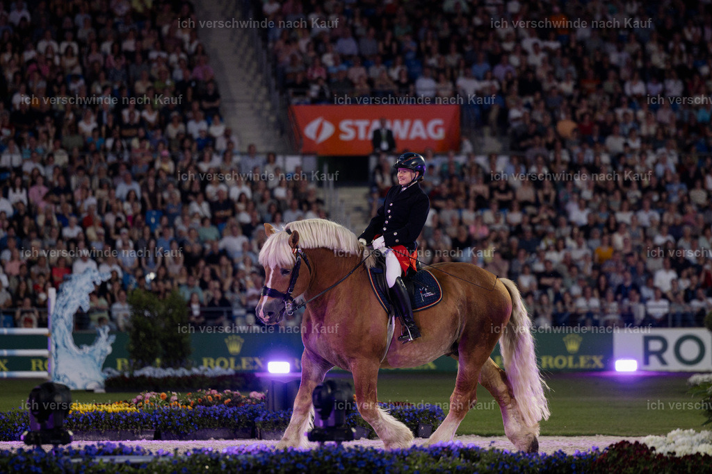 TSCHIO26_PferdundSinfonie_StoibphotographyTSCHIO26_Pferd-Sinfonie_Stoibphotography_AM11468.CR3.jpg | working equitationturnier fotograf videograf stoibphotography marixx film working equitation deutschland reitsport turnierfotografie eventfotografie equestrian events