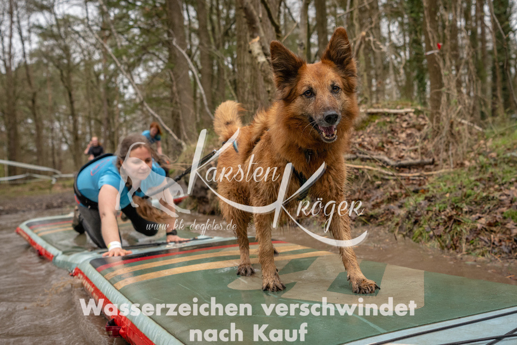 1136_ZZ93614 | kk-dogfotos
