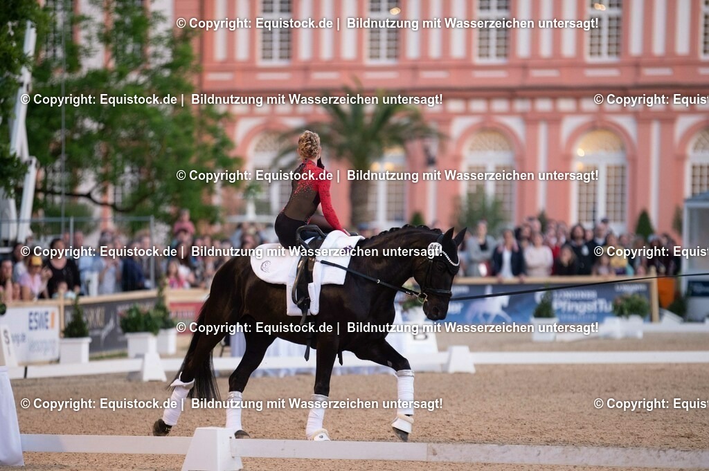 20230527_Voltigieren_NASPA_Flutlicht_0205 | equistock