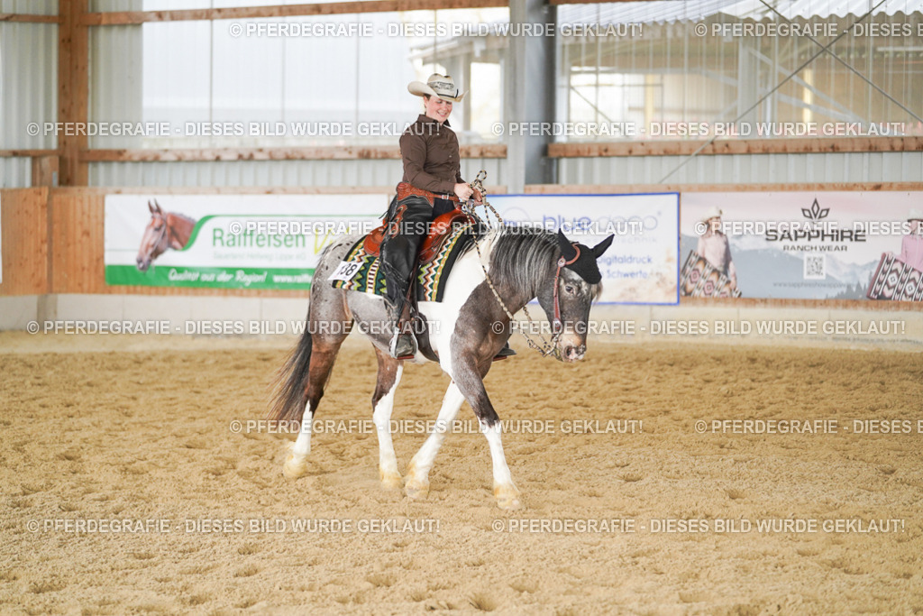 DSC02103 | Pferdegrafie