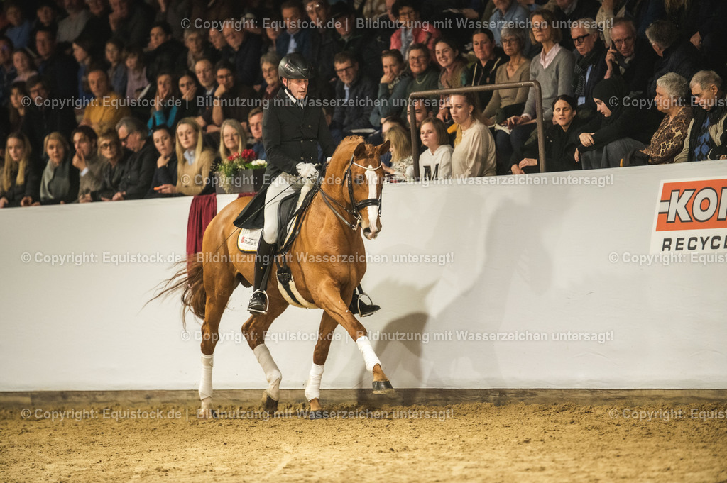20240302_Hengstvorstellung_Marbach_TOMsPiC_0938-2 | equistock
