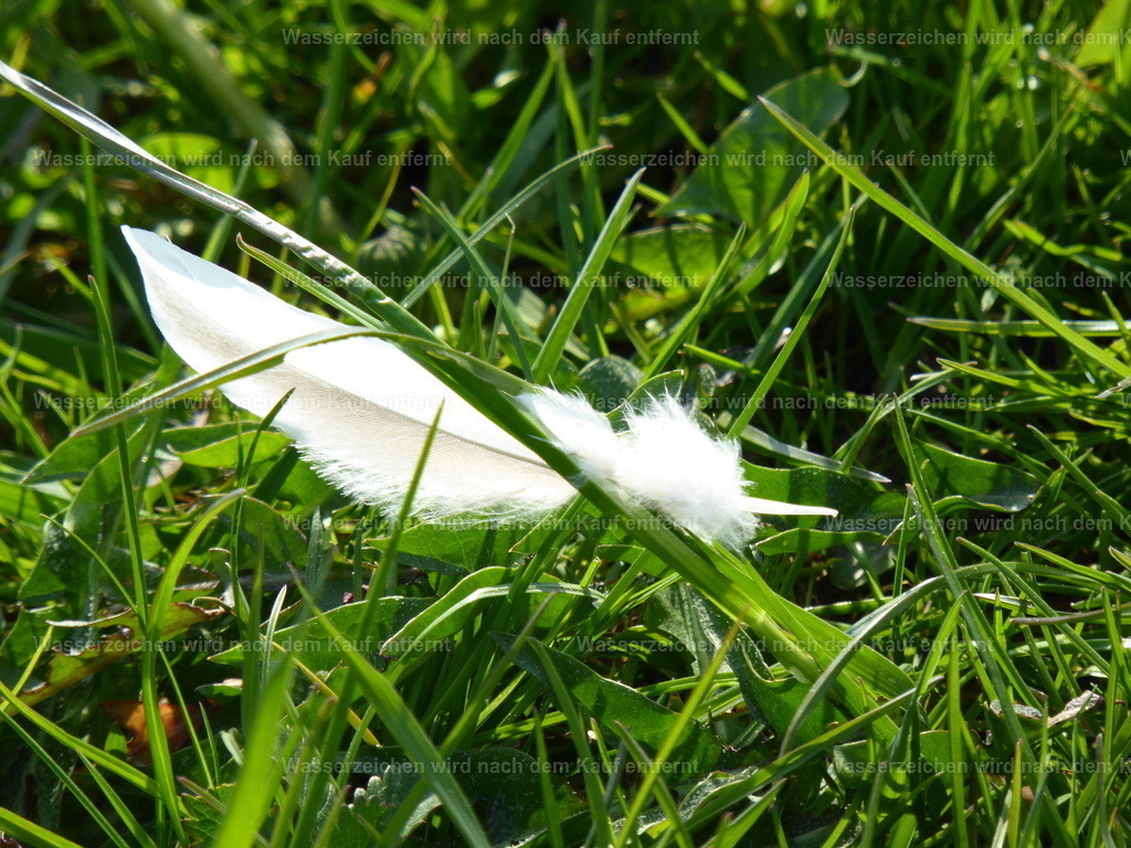 P1000445 | Entdecken Sie die faszinierende Welt von Norbert Michels: Surreale Kunstwerke, hochwertige Fotos, Leinwandbilder & Fotoprodukte wie Tassen mit bild7 - Realisiert mit Pictrs.com