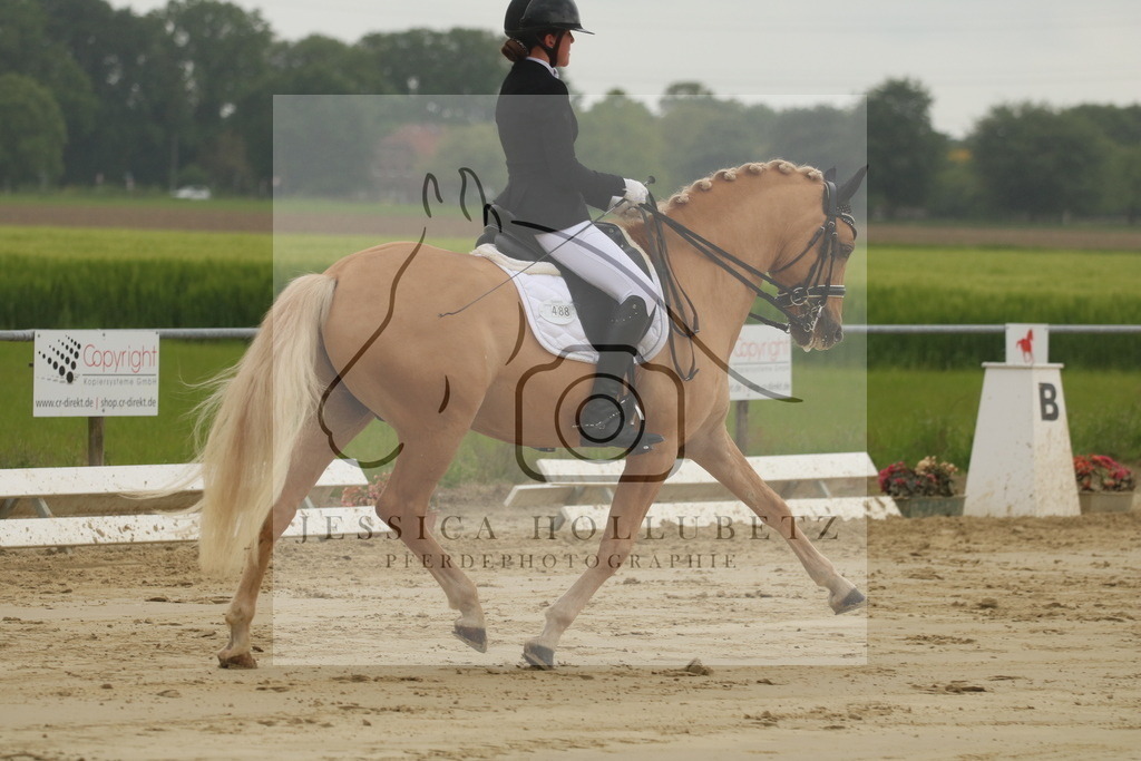 IMG_7311 | jessicahollubetz_pferdephotographie - Realisiert mit Pictrs.com