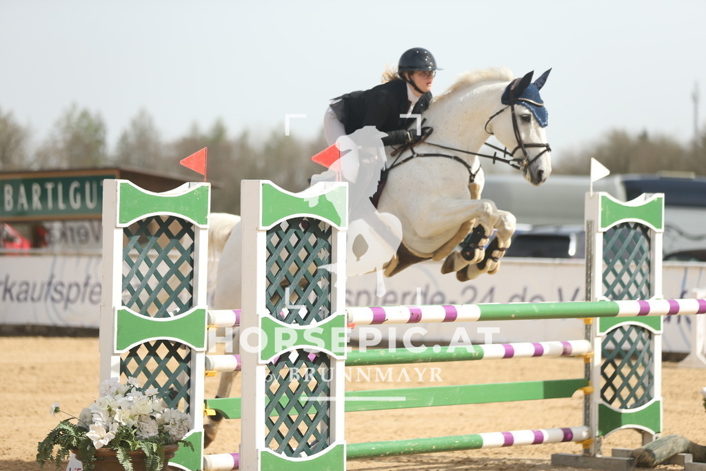 AS8V4803 | Willkommen bei Brunnmayr - Design & Fotografie – Ihrem Spezialisten für Reitturniere und Pferdeveranstaltungen in Oberösterreich, Salzburg und Bayern! Seit über 17 Jahren sind wir leidenschaftlich dabei.