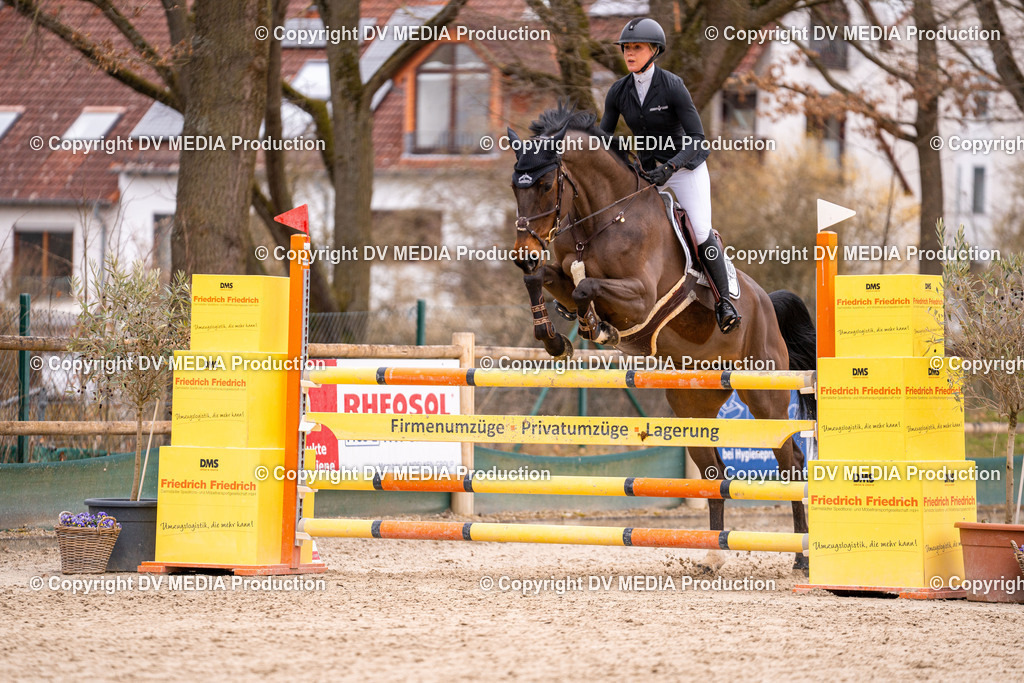 Kranichstein Tag 2-225 | dv-media-shop - Realisiert mit Pictrs.com