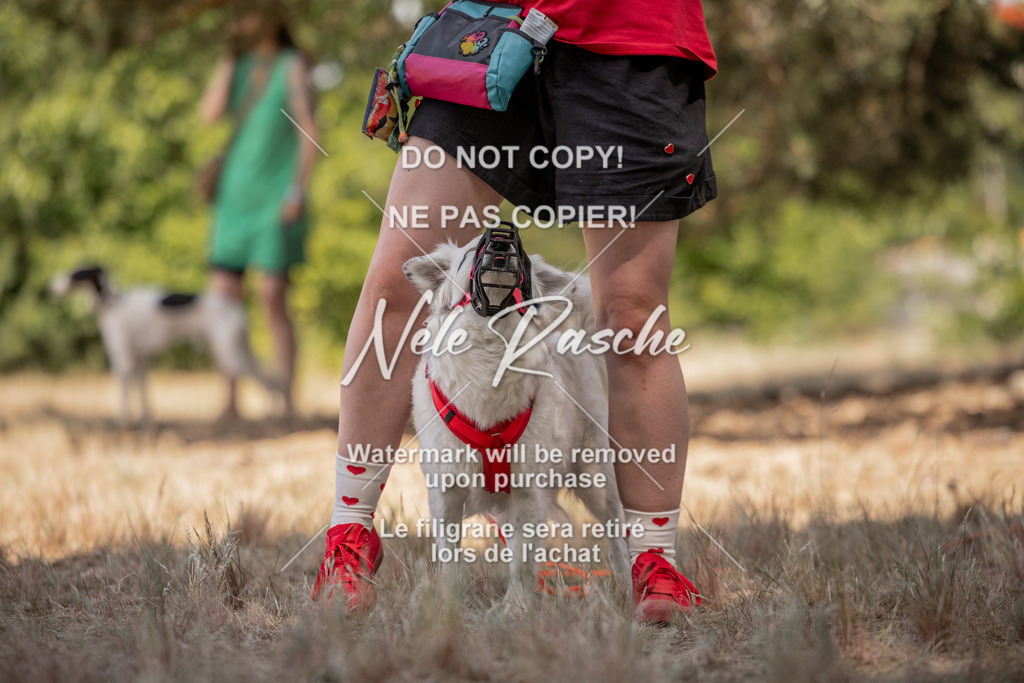 nelerasche_soDD2_377 | nelerasche