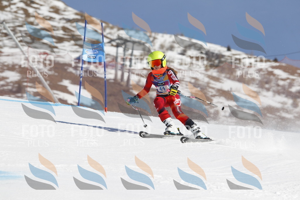 _U3G9244 | holidayphoto