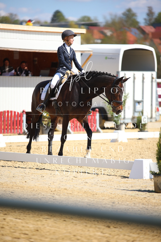 IMGT7597 | pl-fotografie