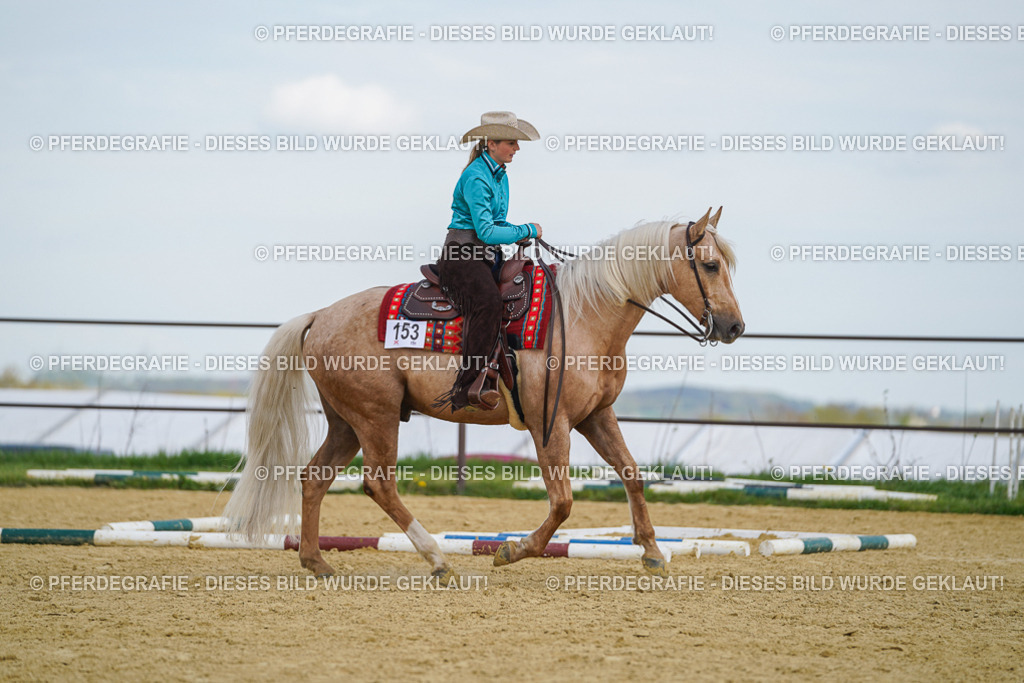 DSC05369 | Pferdegrafie