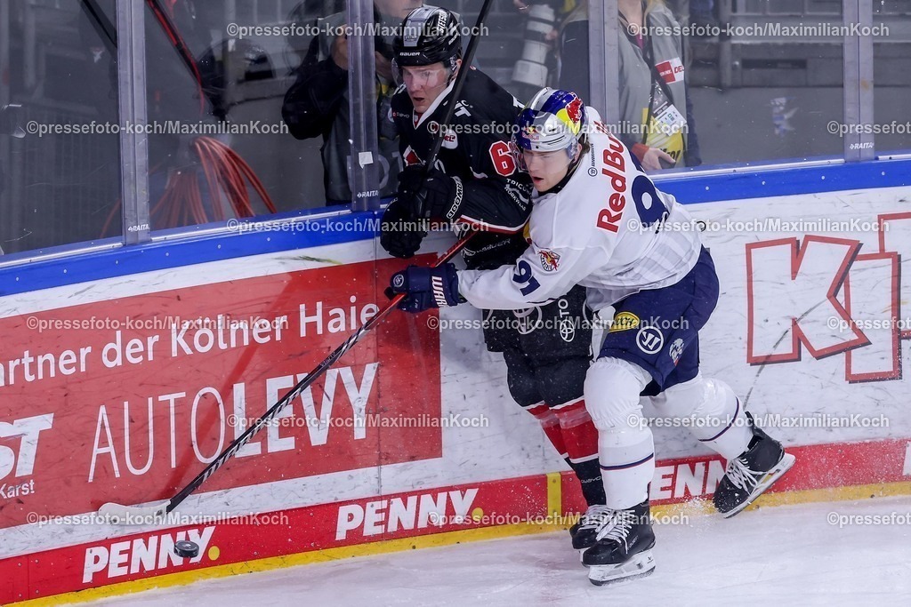 KEC28012501028 | 28.01.2025, Eishockey, DEL, Kölner Haie - EHC Red Bull München, Spieltag 41, Lanxess-Arena Köln: Parker Tuomie (Kölner Haie #62) im Zweikampf gegen Filip Varejcka (EHC München #91)