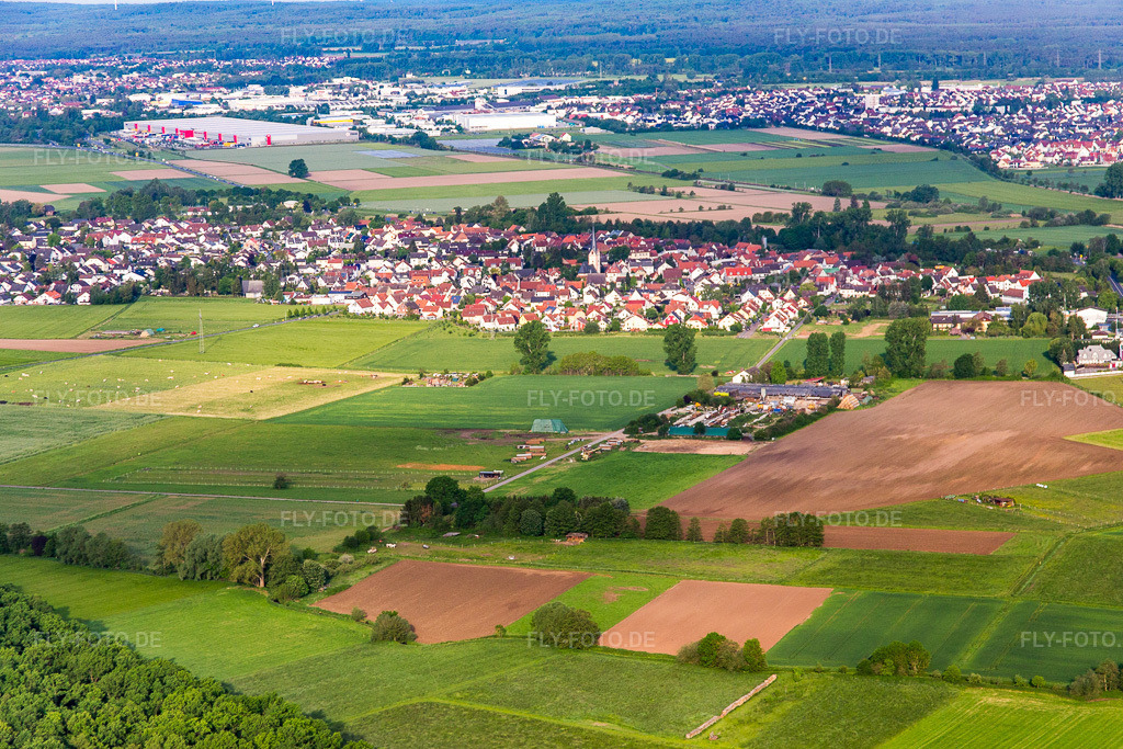 Luftbild: Ortsansicht von Westen im Ortsteil Altheim in Münster im Bundesland Hessen in Deutschland. Foto: IMG_088724.jpg vom 20.05.2016 durch Werner Riehm/FLY-FOTO.de