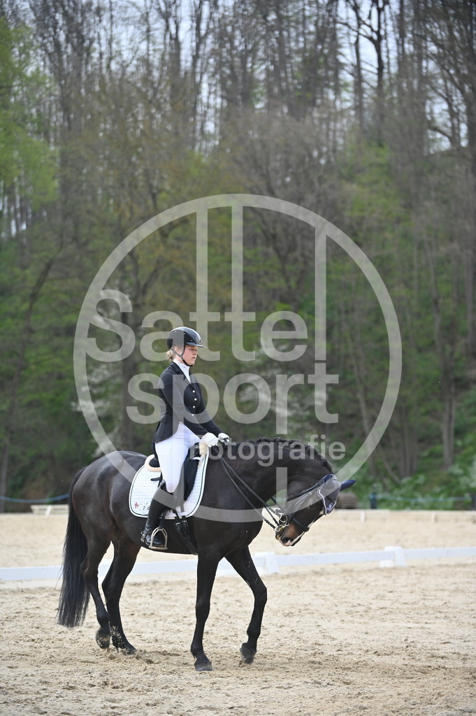 DSC_4901 | sattelsport - Realisiert mit Pictrs.com