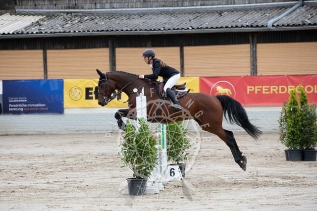 2B4A1596 | pixelfaenger - Realisiert mit Pictrs.com