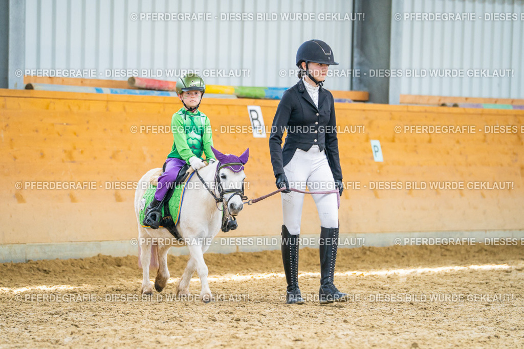 DSC09840 | Pferdegrafie