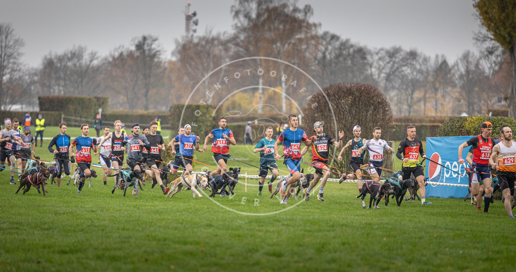 CaniXpix_DV3A9442 | Hundefotografie, Tierfotograf, Pfotenfotografie, Fotoshooting Hund, Hunde Portrait, Hundesport, Hundeportraits, Heideshooting, Hunde, Sportfotograf, Hundefotograf, Turnierhundsport, THS,  - Realisiert mit Pictrs.com