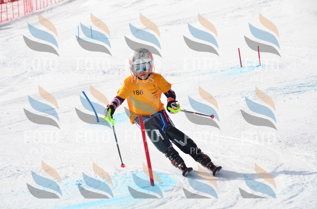 C8032 | holidayphoto