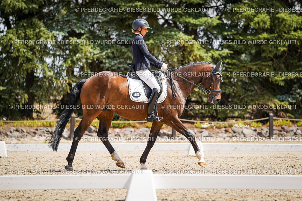 DSC01490 | Pferdegrafie