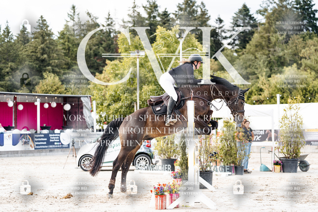 CK903698 | Turnierfotografie Pferdefotografie Trier Rheinland-Pfalz Pferdesport Reitsport Tierfotografie Sportfotografie Pferdevideo Pferdevideografie Equestrianvideography equestrianphotography  - Realisiert mit Pictrs.com