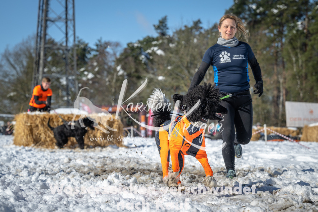 1126_ZZ92181-3 | kk-dogfotos