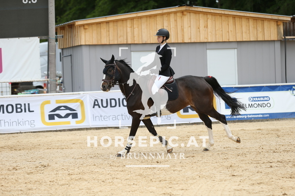 DL2Q1644 | Willkommen bei Brunnmayr - Design & Fotografie – Ihrem Spezialisten für Reitturniere und Pferdeveranstaltungen in Oberösterreich, Salzburg und Bayern! Seit über 17 Jahren sind wir leidenschaftlich dabei.