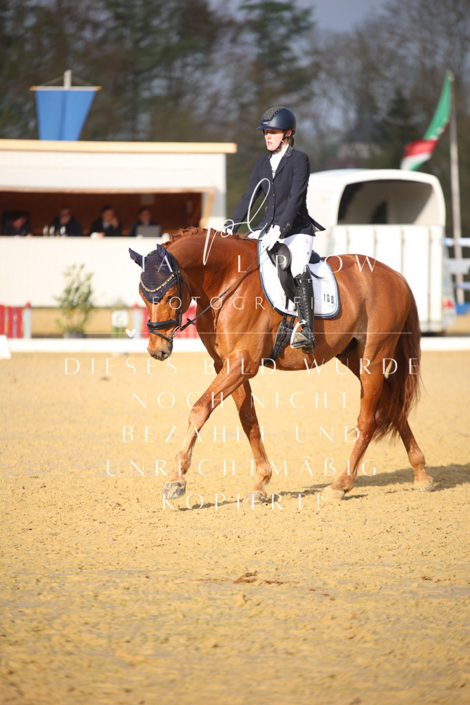 IMGT8342 | pl-fotografie