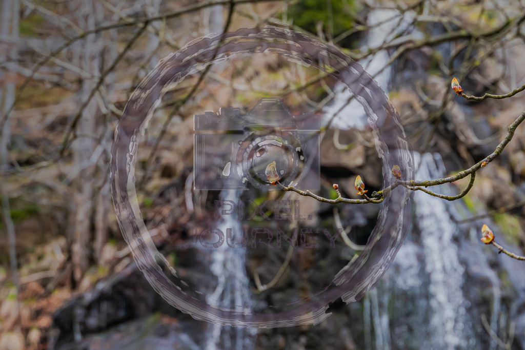 Blüten_Wasserfall_Bad_Harzburg | Fotograf, Fotografin, Portraitfotograf, Kunstfotograf, Fotoshop Fineart, Fotoshop Kunstfotografie, Fotos kaufen, Pixeljourney, Doreen Riedel, Natur, Tiere, Architektur, Kunst, Makro