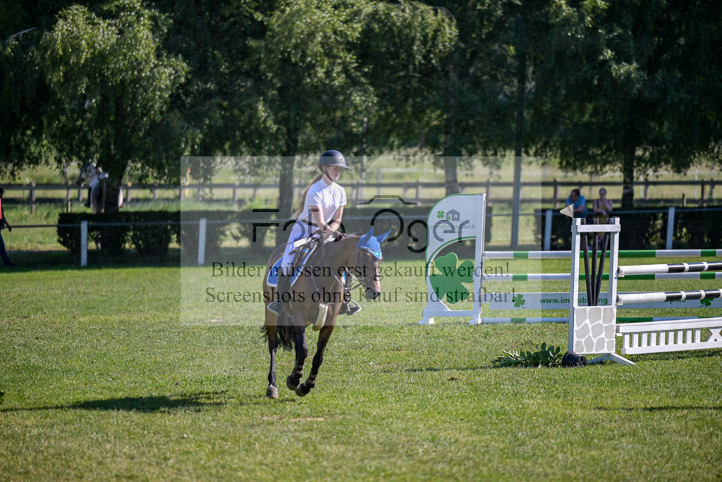 Reitturnier Voxtrup | Entdecke hochwertige Reitturnierfotos von Foto Oger. Professionell, emotional und authentisch – jetzt Lieblingsmomente im Shop bestellen.Deutschlandweite Turnierfotografie. - Realisiert mit Pictrs.com