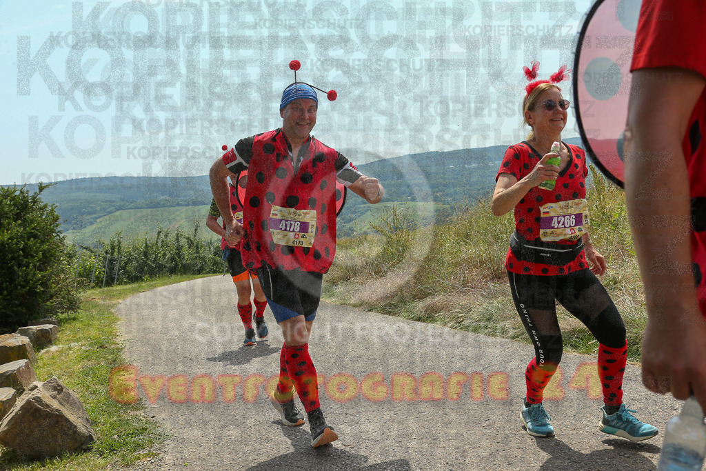 250614_1314_EX1_8563 | Sportfotografie im Rhein-Sieg Kreis, Köln, Bonn, NRW, Rheinland Pfalz, Hessen, etc. Unser Tätigkeitsfeld umfasst den Laufsport vom Volkslauf über den Marathon, Duathlon, Triathon bis zum Ultralauf wie Kölnpfad Ultra oder Schindertrail.