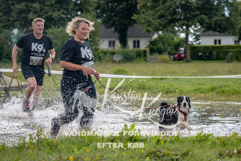 1347_ZZ90002 | kk-dogfotos