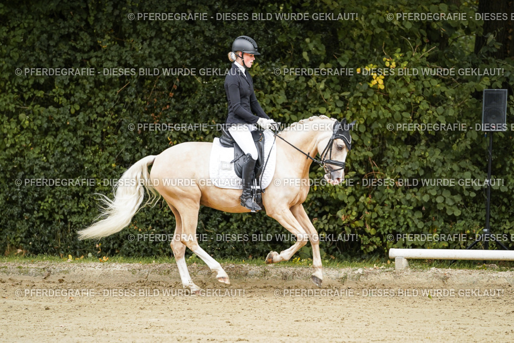 DSC08585 | Pferdegrafie