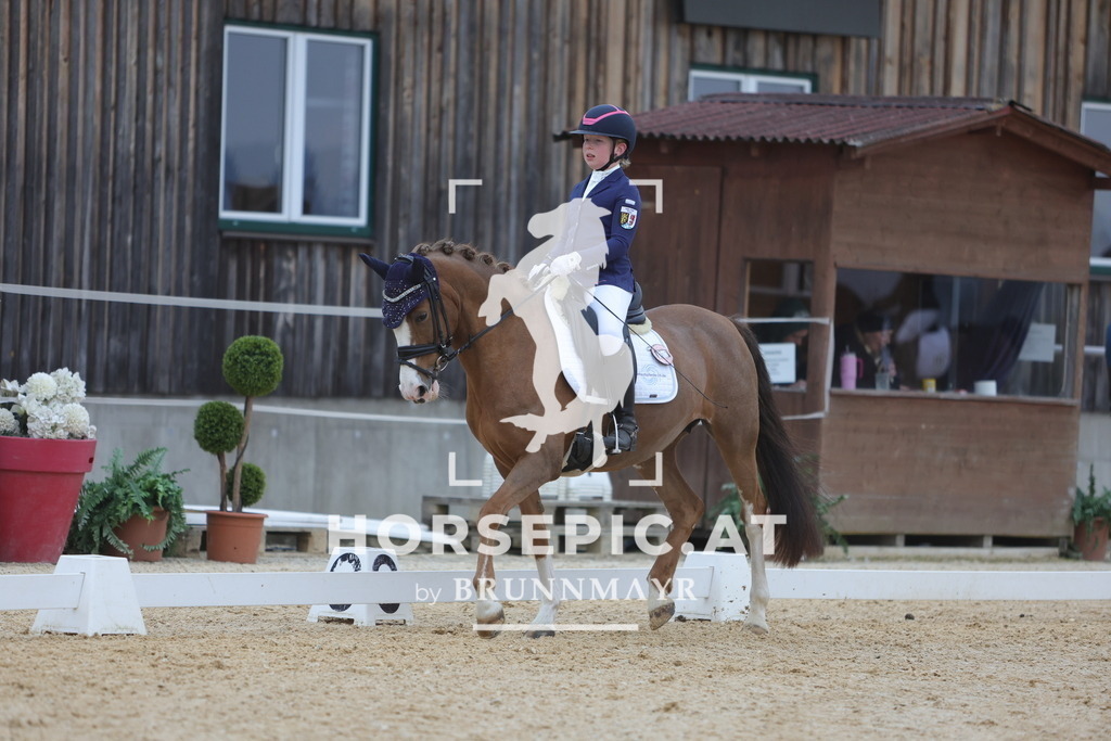 0P6A4630 | Willkommen bei Brunnmayr - Design & Fotografie – Ihrem Spezialisten für Reitturniere und Pferdeveranstaltungen in Oberösterreich, Salzburg und Bayern! Seit über 17 Jahren sind wir leidenschaftlich dabei.
