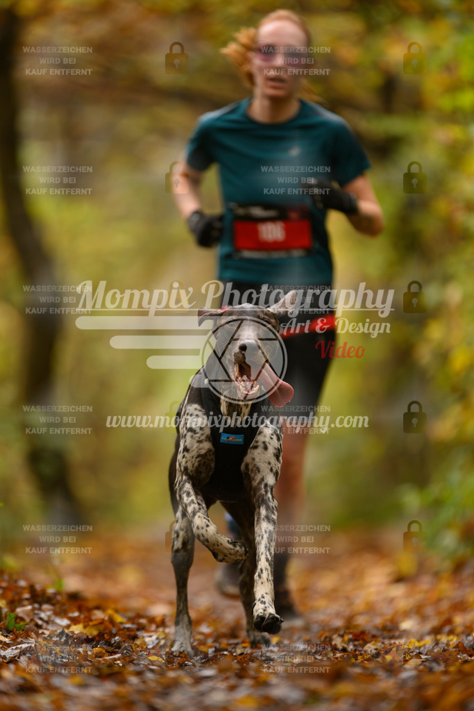 MompixPhotography_CD7S_DI_CCL-45 | mompixphotography