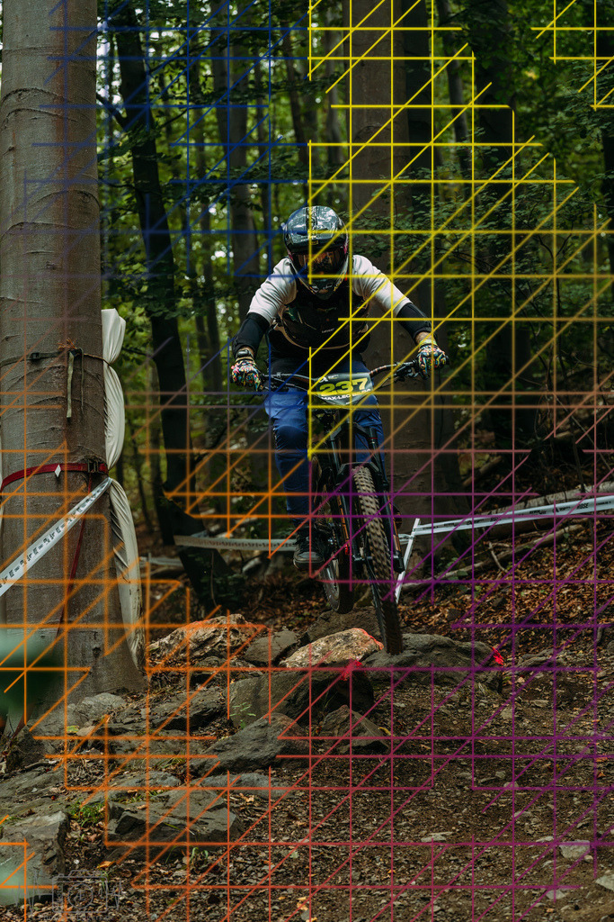 PAE-0755 | Einzigartige Fotokunst für dein Zuhause: Entdecke hochwertige Wandbilder, edle Prints und emotionale Motive von Wildlife, Natur und Landschaften - Realisiert mit Pictrs.com