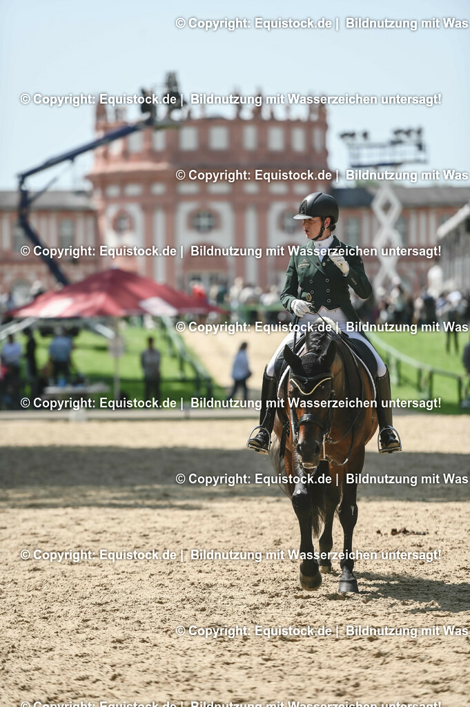 D78_2930 | equistock