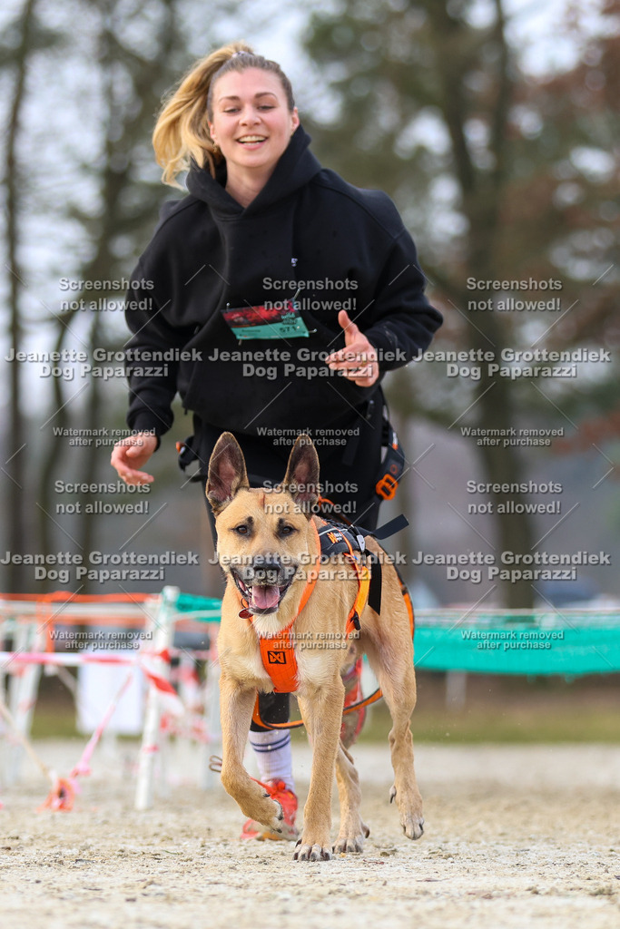 Dog Paparazzi - Strongdog North Mrz26-3802 | Dog Paparazzi Jeanette Grottendiek Fotografie & Videografie - Realisiert mit Pictrs.com